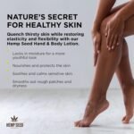 Hemp Seed Hand & Body Lotion - Soothe Dr - Image 2