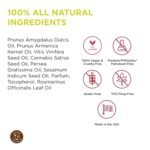Hemp Seed Massage & Body Oil - 8 fl. oz. - Image 4