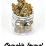 Cannabis Journal: 120 Page 6" x 9" Noteb