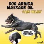 Dog Arnica Massage Oil | Pain Relief for - Image 2