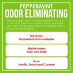 Peppermint Two Pack Odor Eliminating Hig - Image 4