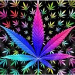 Marijuana Leaf DIY 5D Diamond Painting C