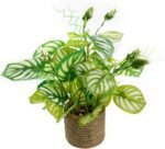 11'' Artificial Plants Pothos Greenery R