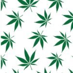 Cannabis Journal: 100 Pages+ Lined Noteb
