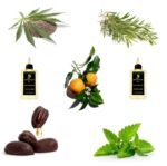 Nonstop Magic # 1 Hair & Beard Oil - Image 3