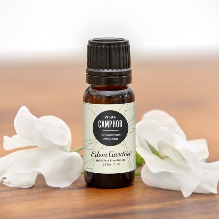 Edens Garden Camphor- White Essential Oi - Image 2