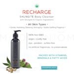 Modern ŌM Shungite Recharge Body Wash wi - Image 6