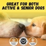 Dog Arnica Massage Oil | Pain Relief for - Image 7