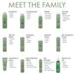 Surface Hair Best Blowouts Regimen: Blow - Image 8