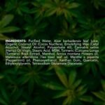 Hemp Cream Maximum Strength (16oz) Hemp - Image 8