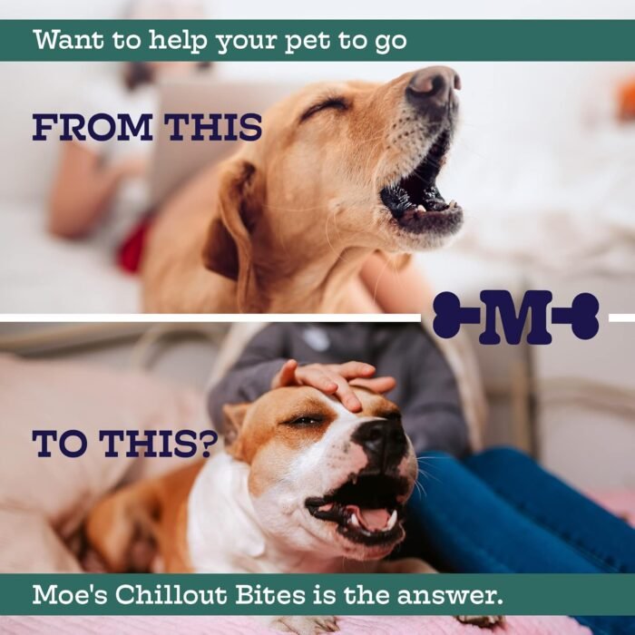 Moe’s Calming Chews for Dogs 90ct – Natu - Image 3