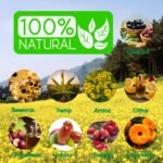 Sacred Healing Arnica, Hemp & Botanicals - Image 3