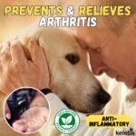 Dog Arnica Massage Oil | Pain Relief for - Image 6