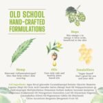 Natural Body Wash for Men and Women Citr - Image 4