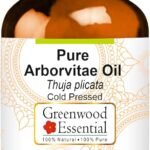 Pure Arborvitae Oil (Thuja plicata) Cold
