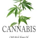 Cannabis: High CBD Hemp, Hemp Essential