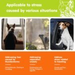 Zingly Hemp Calming Chews for Dogs Calmi - Image 3