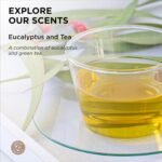 Hemp Seed Hand Wash, Eucalyptus & Tea Sc - Image 4