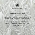 Muse Apothecary Hand Ritual - Aromatic a - Image 8