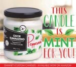 Peppermint Two Pack Odor Eliminating Hig - Image 8