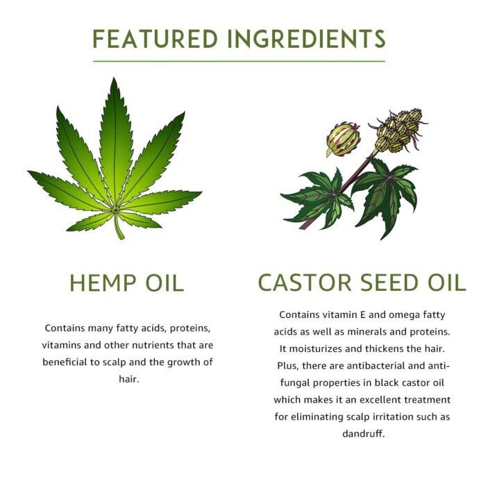 Luseta Castor & Hemp Oil Shampoo for Hai - Image 4