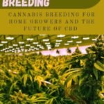THE ULTIMATE GUIDE TO CANNABIS BREEDING