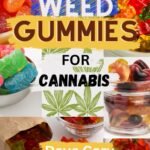 Weed Gummies Cookbook For Cannabis: Easy