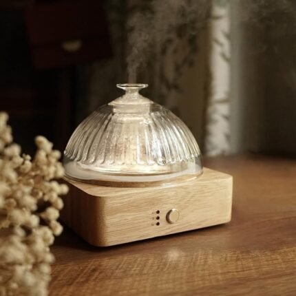 Glass Dome Essential Oil Diffuser with G
