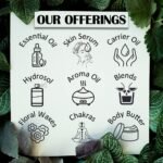Pure Borage Oil (Borago officinalis) 15m - Image 3