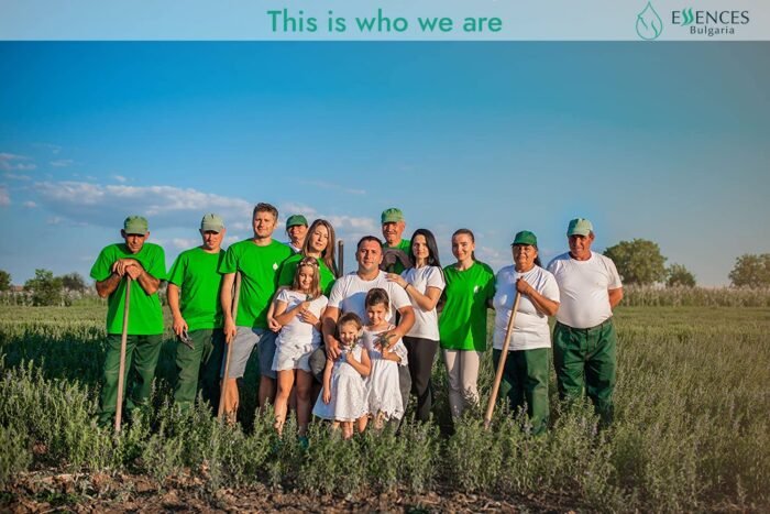 Essences Bulgaria Organic Hemp Seed Oil - Image 7