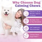 Hemp Calming Chews for Dogs 150PCs Dog C - Image 6
