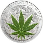 Marihuana Cannabis Sativa Famous Plants