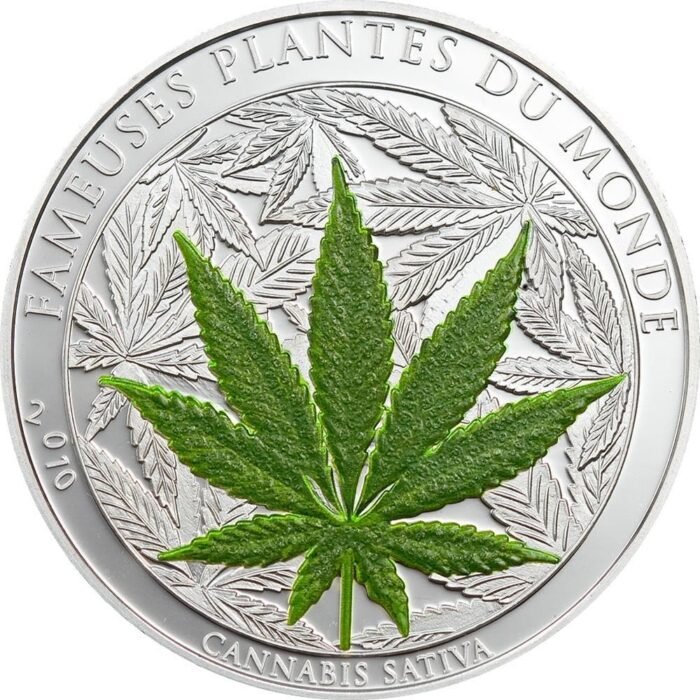 Marihuana Cannabis Sativa Famous Plants - Image 1