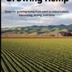 Growing Hemp: Steps for growing hemp fro