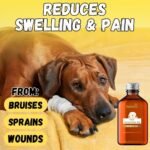 Dog Arnica Massage Oil | Pain Relief for - Image 8