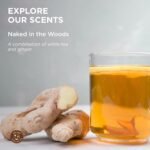 Hemp Seed Hair Care Shampoo - 8 oz - Moi - Image 4