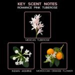 LOVSPA Pink Tuberose Reed Diffuser Set - - Image 2