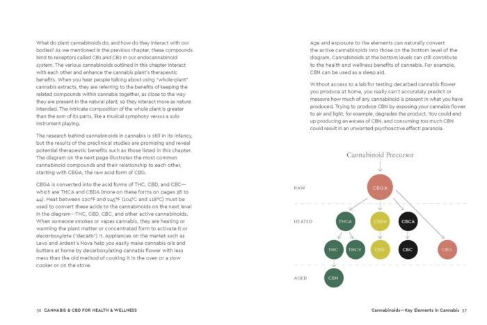 Cannabis and CBD for Health and Wellness - Image 3