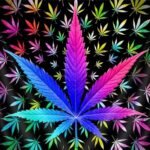 Muyankissu Diamond Art Kit for Adults Co