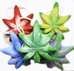 Pack of 4, Hemp Soap, Soap on a Rope, Ba