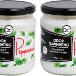 Peppermint Two Pack Odor Eliminating Hig