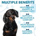 Hemp Calming Chews for Dogs with Anxiety - Image 5