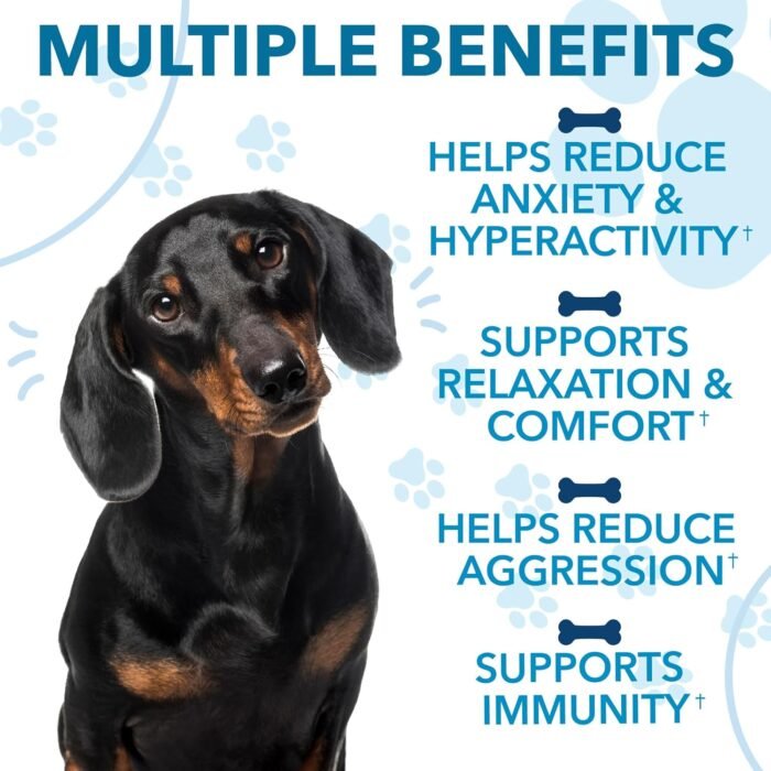 Hemp Calming Chews for Dogs with Anxiety - Image 5