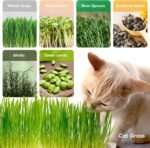 16 Pack Hemp Mats for Growing Microgreen - Image 7