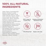 MKS eco Kahm Smoothing Shampoo, Original - Image 6
