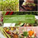 16Pcs Jute Grow Mat Plant Fiber Grow Mat - Image 6