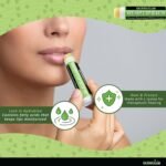 GreenIVe Hemp Lip Balm, Vegan, Omegas 3 - Image 4