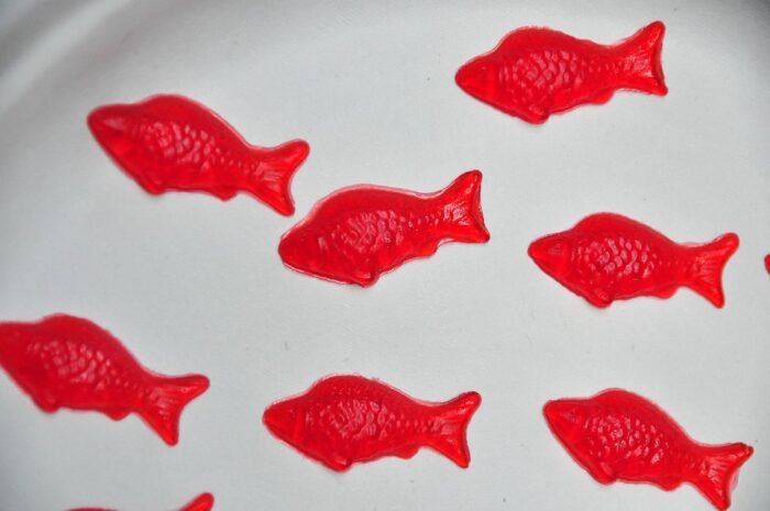 Trusty Goods' Gummy Fish Silicone Candy - Image 3
