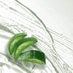 Herbal Essences bio:renew Potent Aloe + - Image 4
