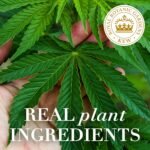 Herbal Essences bio:renew Potent Aloe + - Image 3